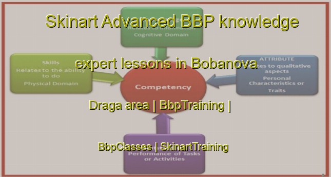 Skinart Advanced BBP knowledge expert lessons in Bobanova Draga area | BbpTraining | BbpClasses | SkinartTraining-Bosnia and Herzegovina